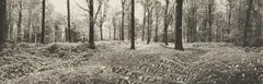 Paul Emmanuel, Scar, hand-printed chine collé photogravure etching on Hahnemühle paper