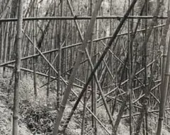 Garth Meyer, Rwanda, vintage silver gelatin print on fibre-based paper