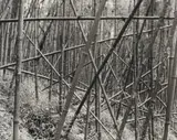 Garth Meyer, Rwanda, vintage silver gelatin print on fibre-based paper