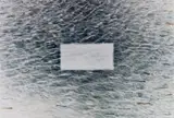 Michael Meyersfeld, Pool, photographic print on paper