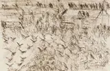 David Koloane, Birds over Mahlathini Streets, etching on paper