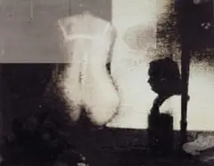 Alexandra Ross, Cello, inkjet on aluminium