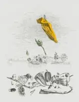 Colin Richards, The Only Good Flower, hand coloured etching on paper