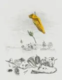 Colin Richards, The Only Good Flower, hand coloured etching on paper