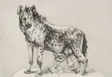 Diane Victor, Romulus and Remus, etching on paper