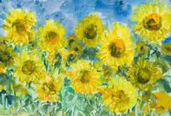 Alice Elahi, Sunflowers, watercolour on paper