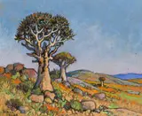 Conrad Theys, Namaqualand