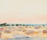Alice Elahi, Sunset over Biesebvlakte, N. E. Etosha