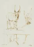 Waterbuck at a Waterhole by Zakkie Eloff, sepia ink on paper, offered Mar 2022