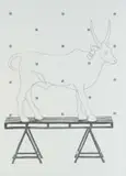 Kevin Roberts, White Ox