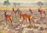 Zakkie Eloff, Hartebeest in a Landscape