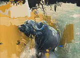 Keith Joubert, Old Bull under a Sausage Tree, oil on canvas