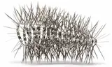 Walter Oltmann, Larva, bent steel and wire