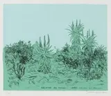 Conrad Botes, Aalwyne en Taaibos Langs die Pad by Malgas, colour lithograph