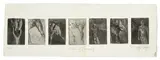 Wim Botha, Chain of Command, etching and aquatint