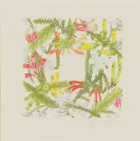 Thalia Lincoln, Wreath of Ericas, coloured pencil on paper