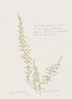 Liz McMahon, Erica fontana, watercolour on paper