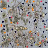 Willem Boshoff, Self-portrait (Right-hand Side of the Brain), mixed media on board