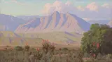 Jan Ernst Abraham Volschenk, Mozambiquers Kop and Riversdale Veld