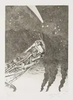 Helmut Starcke, Locust, etching on paper