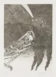 Helmut Starcke, Locust, etching on paper