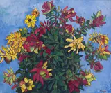 François Krige, Study of Leucadendrons, oil on board