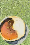 Alan Crump, Crème Brûlée, watercolour on card