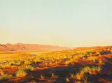 Walter Meyer, Wintergrass, Namib