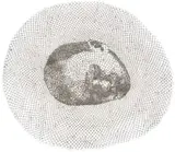 Walter Oltmann, Sleeping Child