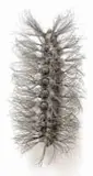 Walter Oltmann, Caterpillar, 2007, aluminium, steel and brass wire