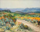 Hugo Naude, Namakwaland