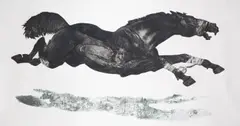 Diane Victor, Baited, etching and digital print on paper
