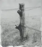 Stephen Inggs, Fencepost, hand painted silver gelatin emulsion on paper