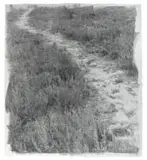 Stephen Inggs, Footpath, hand painted silver gelatin emulsion on paper