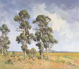 Conrad Theys, Bluegum Trees, Swartland, oil on canvas