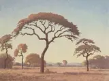 Bushveld with Camelthorn Trees by Jacobus Hendrik Pierneef, oil on board, sold Apr 2022
