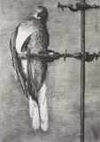 William Kentridge, Bird Catcher, archival pigment print on paper