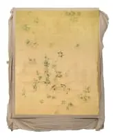 Pierre Vermeulen, Hair Orchid Sweat Print Verdigris Layer No.2, gold leaf imitate, sweat and acrylic on linen