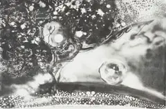 Leon de Bliquy, Tree of Life for Shalitha and Samtosh, monotype