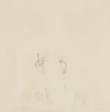 Judith Mason, Digits, pencil on paper