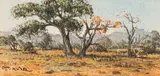 Otto Klar, Bushveld Landscape, chalk pastel on paper