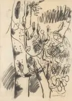 Erik Laubscher, Euphorbia Study, charcoal on paper