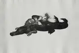 Diane Victor, Let Sleeping Crocs Lie
