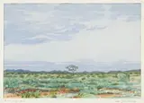 Adolph Jentsch, S.W. Afrika