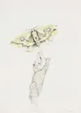 Judith Mason, Mothmask II