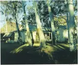 David Goldblatt, House behind Blue Gums