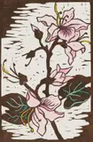 Gregoire Boonzaier, Bauhinia, hand coloured linocut on paper