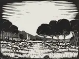 David Botha, Cape Landscape with Stone Pines, linocut on paper