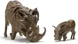 Dylan Lewis, Warthog Boar and Piglet