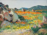 Hugo Naude, Namaqualand